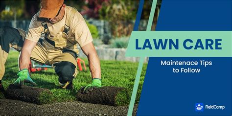 Unlock the Secrets of Magic Lawn Care: A Step-by-Step Guide for a Stunning Landscape